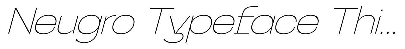 Neugro Typeface Thin Italic